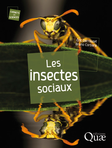 Les insectes sociaux