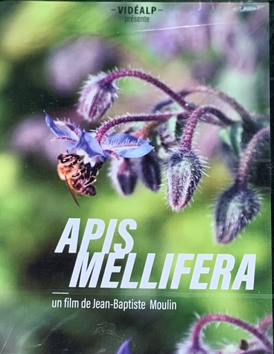 Apis Mellifera - JB Moulin
