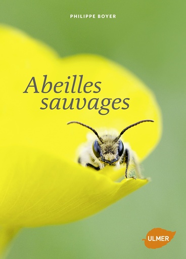 Abeilles sauvages - Philippe Boyer