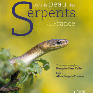 Dans la peau des Serpents de France