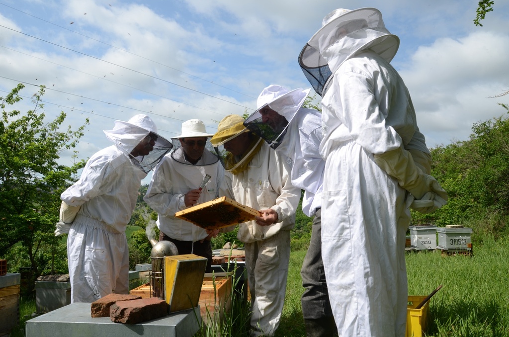 Stage intensif 7 jours d’initiation à l’apiculture