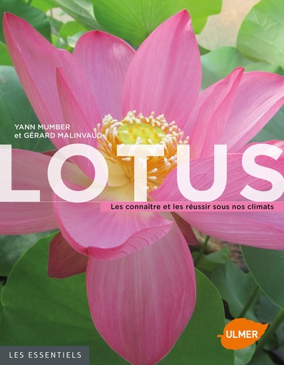 [L - 0142] Lotus