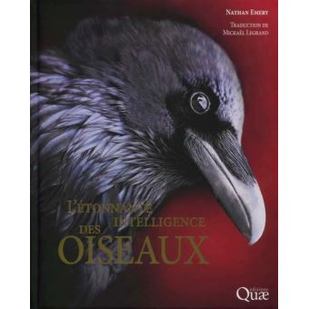 L’étonnantes intelligence des oiseaux
