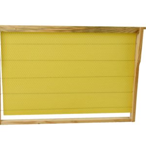 Cadre ciré Hoffman pour corps