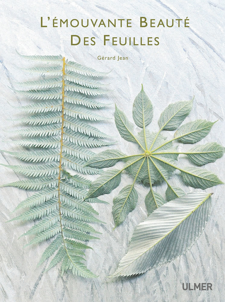 L’émouvante beauté des feuilles