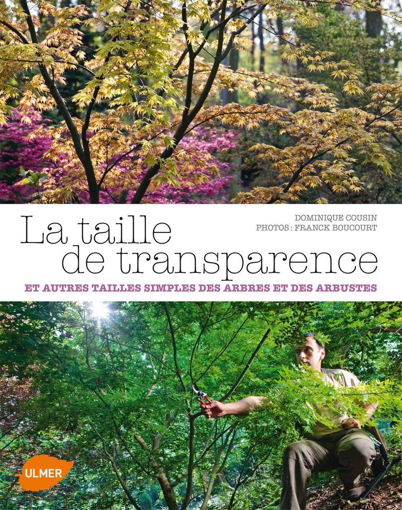 La taille de transparence