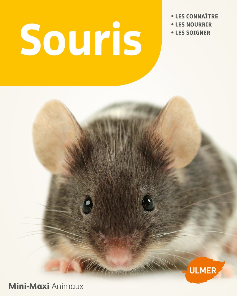 Souris