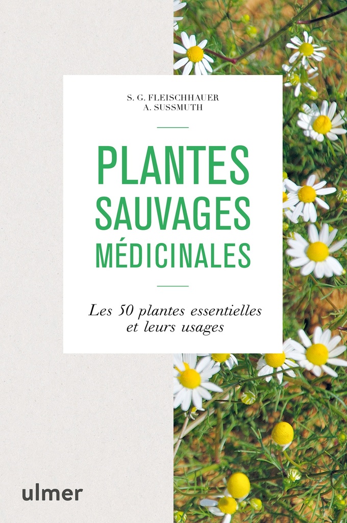 Plantes sauvages médicinales