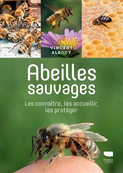 Abeilles sauvages, les connaître, les accueillir, les protéger