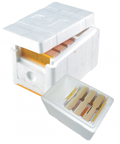 Nucléi polystyrène Swi-Bine 3 cadrons