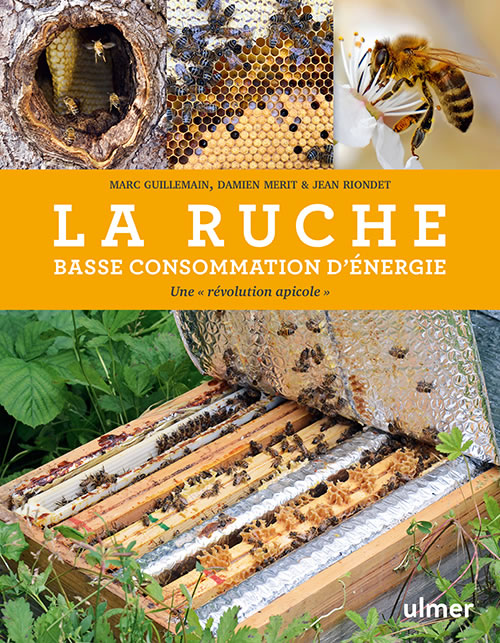 Ruche basse consommation - Damien Merit