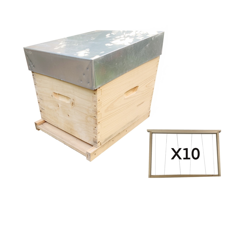 Ruche Dadant complète