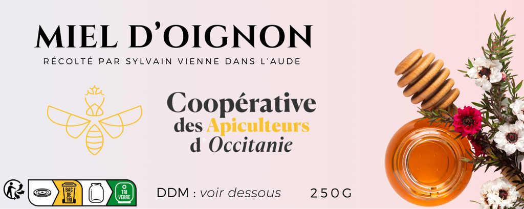 Miel d'oignon 250g