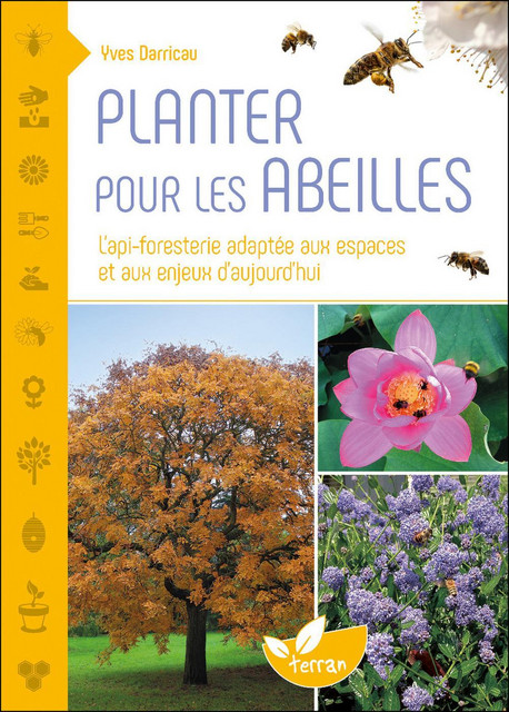 Planter pour les abeilles - L'api-foresterie adaptée aux espaces et aux enjeux d'aujourd'hui