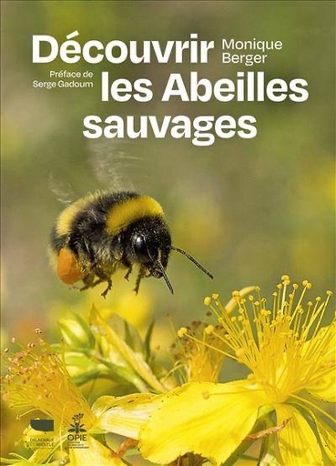 [L - 0297] Découvrir les abeilles sauvages - Monique Berger